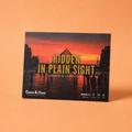 Hidden In Plain Sight (Young Detectives)